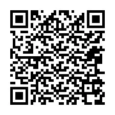 Codice QR per il numero di telefono +12065178847