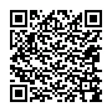 QR-code voor telefoonnummer +12065184247