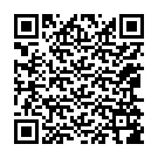 Codice QR per il numero di telefono +12065186659