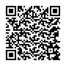 QR-Code für Telefonnummer +12065187588