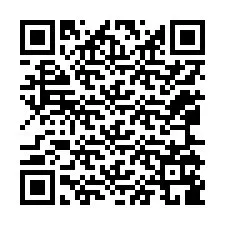 QR-код для номера телефона +12065189909