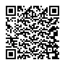 QR-код для номера телефона +12065196630