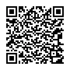 QR-код для номера телефона +12065202200