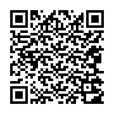 Codice QR per il numero di telefono +12065202832