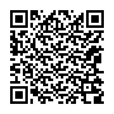 Codice QR per il numero di telefono +12065208065