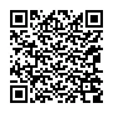 Codice QR per il numero di telefono +12065208910