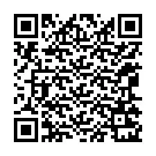 QR-code voor telefoonnummer +12065221550