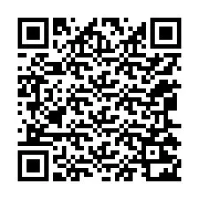 QR-Code für Telefonnummer +12065222154