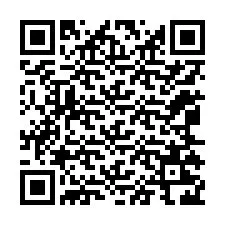 Codice QR per il numero di telefono +12065226591