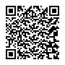 QR Code for Phone number +12065228501