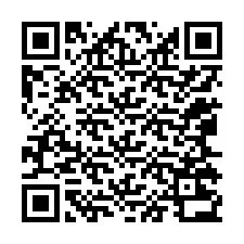 Codice QR per il numero di telefono +12065232968