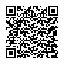 Codice QR per il numero di telefono +12065236891