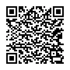 QR-код для номера телефона +12065237629