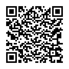 Código QR para número de telefone +12065239801