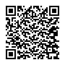 Kode QR untuk nomor Telepon +12065239933