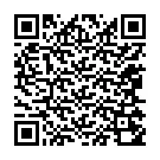 QR-код для номера телефона +12065250076