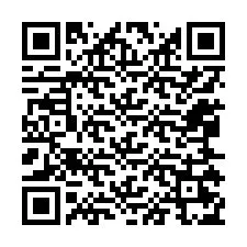 Código QR para número de telefone +12065275087