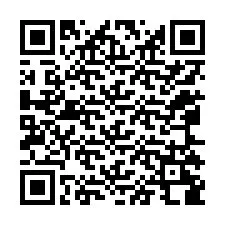 QR-code voor telefoonnummer +12065288208