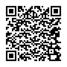 Código QR para número de telefone +12065290027