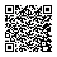 QR Code pour le numéro de téléphone +12065290299