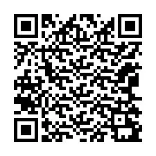 QR-код для номера телефона +12065291235