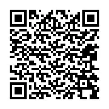 Código QR para número de telefone +12065298457