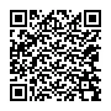 Código QR para número de telefone +12065298529