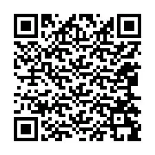 Codice QR per il numero di telefono +12065299786