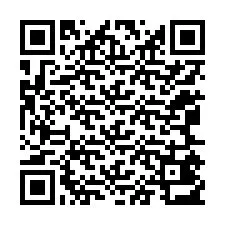 QR Code for Phone number +12065413024