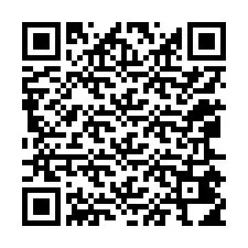 QR-code voor telefoonnummer +12065414058