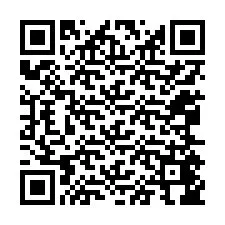 QR-code voor telefoonnummer +12065446293