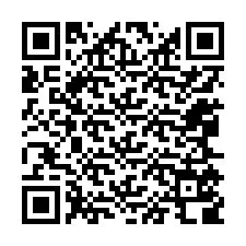 QR код за телефонен номер +12065508467