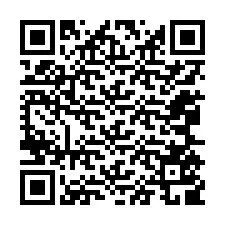 QR-код для номера телефона +12065509737