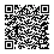 QR-code voor telefoonnummer +12065531278