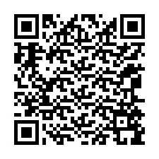 QR-code voor telefoonnummer +12065599650