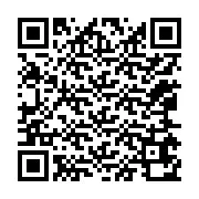 QR-код для номера телефона +12065670089