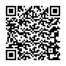 QR-код для номера телефона +12065672300