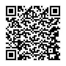 QR код за телефонен номер +12065681378