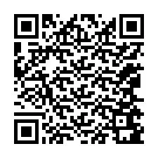 Codice QR per il numero di telefono +12065681379