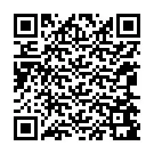 Codice QR per il numero di telefono +12065681380