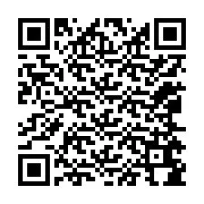 QR-code voor telefoonnummer +12065684299