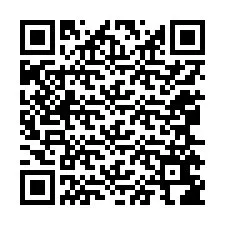 QR-code voor telefoonnummer +12065686676