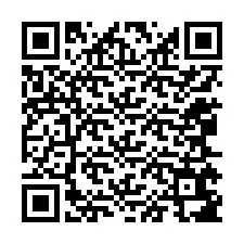 Codice QR per il numero di telefono +12065687476