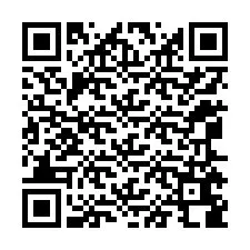 QR-code voor telefoonnummer +12065688250