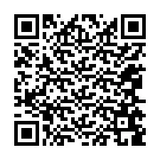 QR-code voor telefoonnummer +12065689573