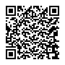 Codice QR per il numero di telefono +12065696941