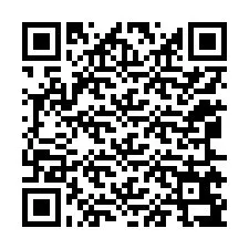 QR-код для номера телефона +12065697414