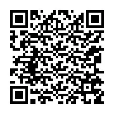 QR-koodi puhelinnumerolle +12065759914