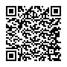 电话号码二维码 +12065777666