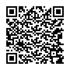 Codice QR per il numero di telefono +12065786694